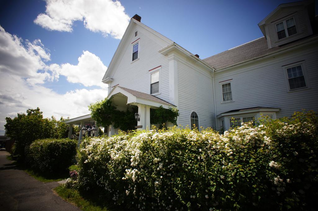 Inn On Frederick St. Andrews By The Sea Esterno foto